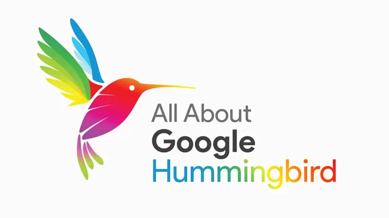 Hummingbird là gì? Tối ưu website với thuật toán chim ruồi